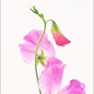 Meet your Posher, Sweet P Savings